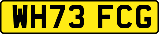 WH73FCG