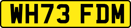 WH73FDM