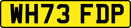 WH73FDP