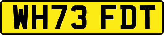 WH73FDT