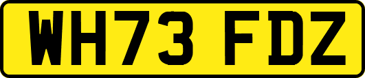 WH73FDZ