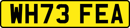 WH73FEA