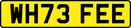 WH73FEE