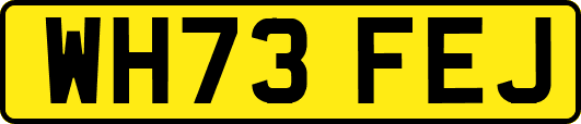 WH73FEJ