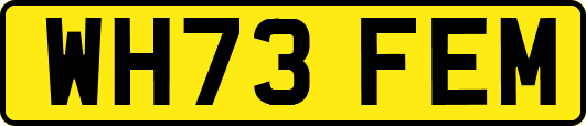 WH73FEM
