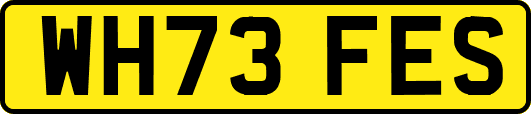 WH73FES