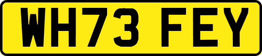 WH73FEY