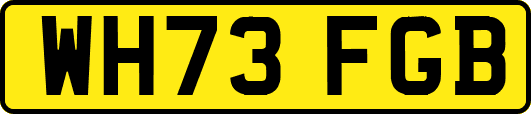 WH73FGB