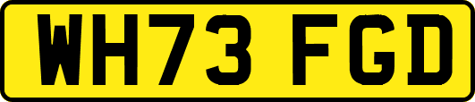 WH73FGD