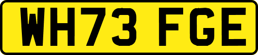 WH73FGE