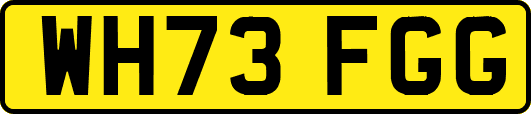 WH73FGG