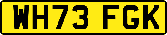 WH73FGK