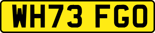 WH73FGO