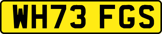 WH73FGS