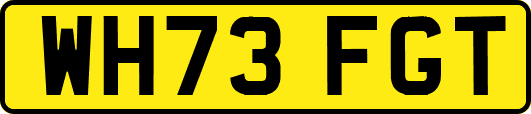 WH73FGT