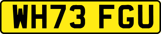 WH73FGU