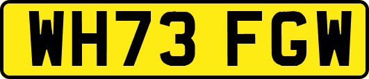 WH73FGW