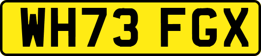 WH73FGX