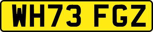 WH73FGZ