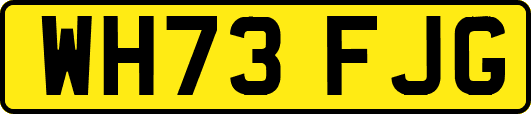 WH73FJG