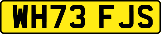 WH73FJS