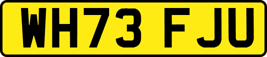 WH73FJU