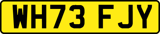 WH73FJY