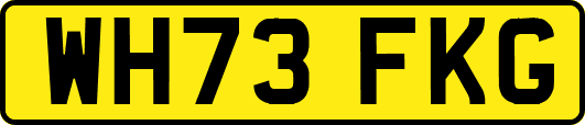 WH73FKG