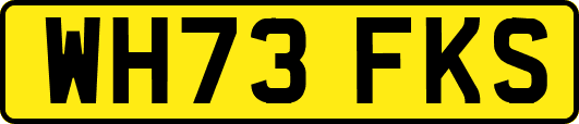 WH73FKS