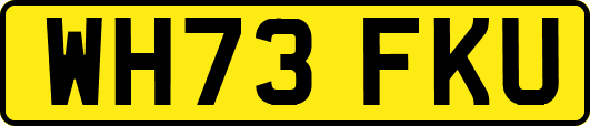 WH73FKU