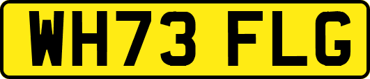 WH73FLG