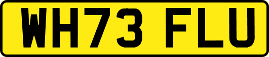 WH73FLU