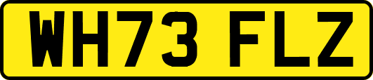 WH73FLZ