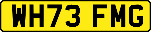 WH73FMG