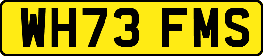 WH73FMS