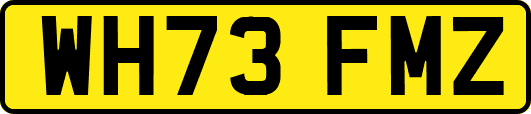 WH73FMZ
