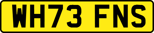 WH73FNS