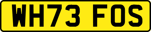 WH73FOS