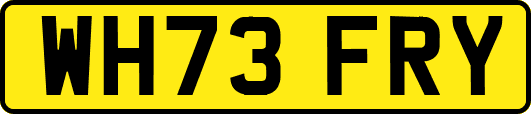 WH73FRY