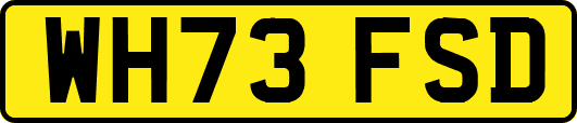 WH73FSD