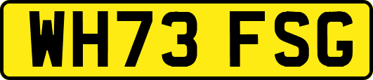 WH73FSG
