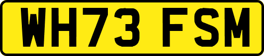 WH73FSM