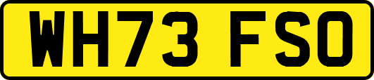 WH73FSO