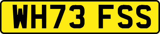 WH73FSS