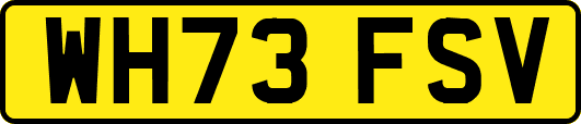 WH73FSV