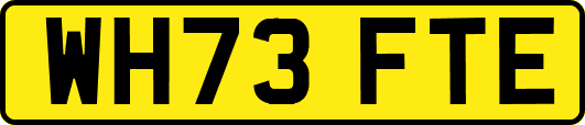 WH73FTE