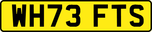 WH73FTS