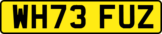 WH73FUZ