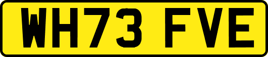 WH73FVE