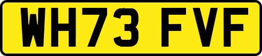 WH73FVF